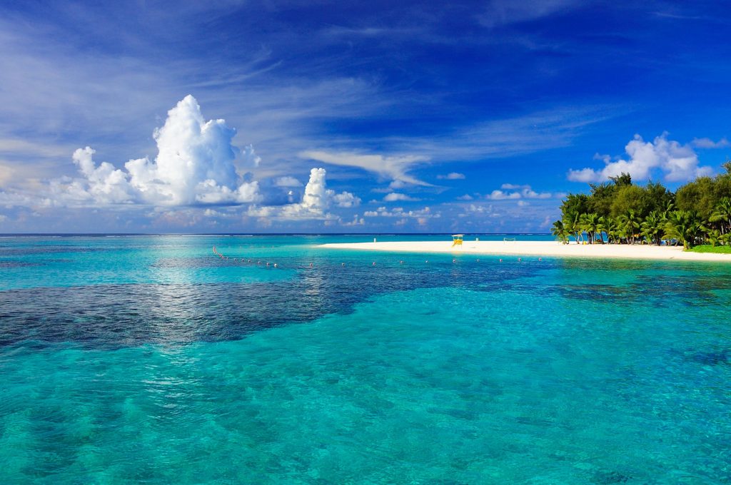 夏の海
